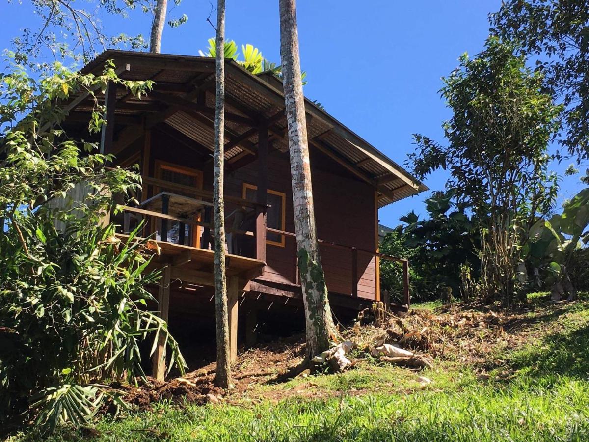 Bella Vista Ranch Ecolodge Turrialba Exterior photo