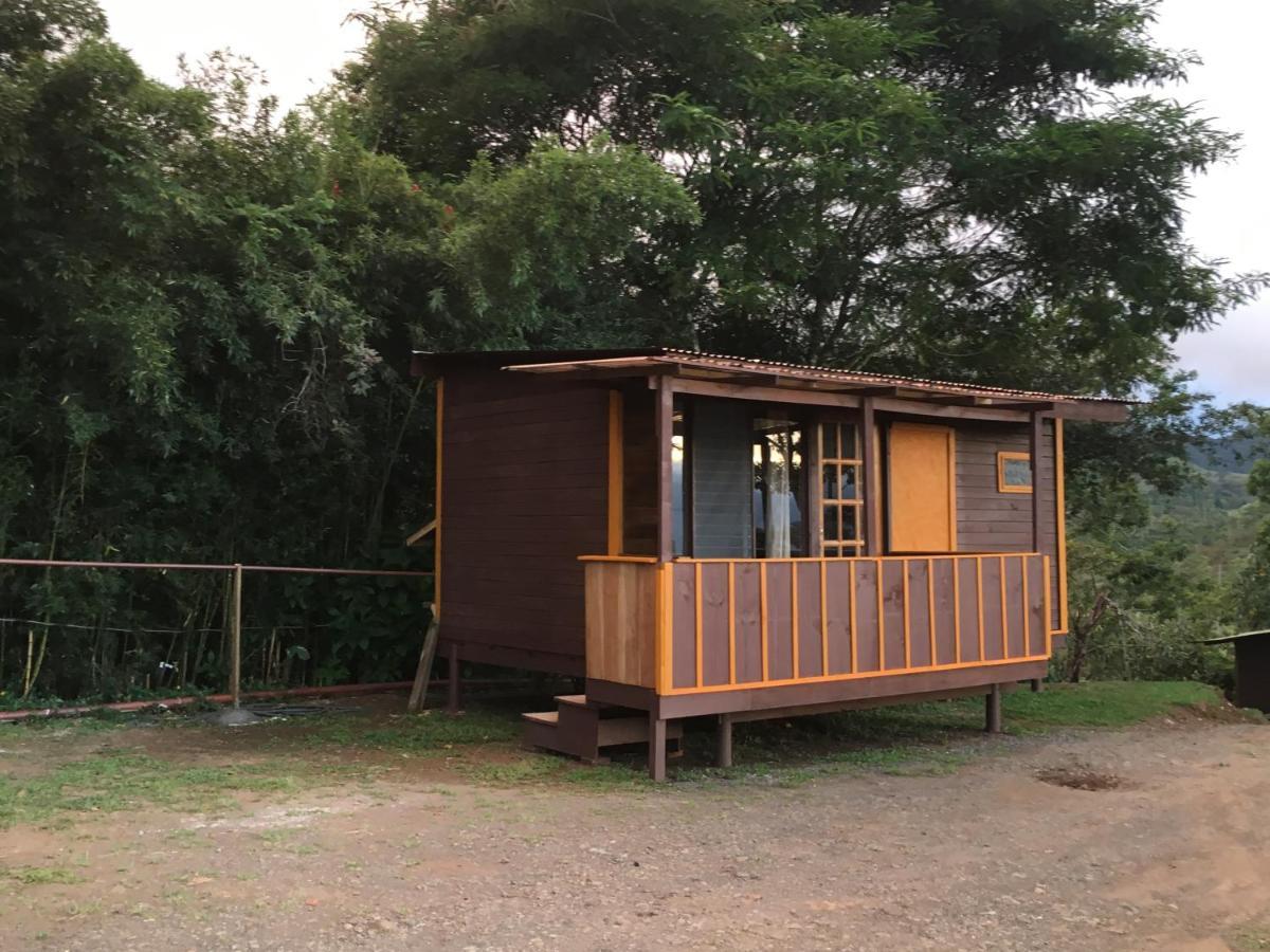 Bella Vista Ranch Ecolodge Turrialba Exterior photo